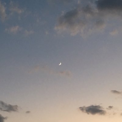 中村  みゆきさんのプロフィール画像