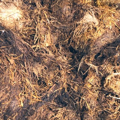 ottricht's profile picture. Ich tu dir weh