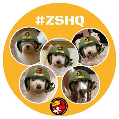 Angels Lilly, Pinky, Susie
Bonnie, Gabby Phoebe Toy.
Proud Nurse & soldyer of God member of @zombisquad❤ #ZSHQ❤ @bonniedawestie student @lillywestie