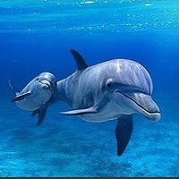 Аксинья (@mimzimatilda) 's Twitter Profile Photo