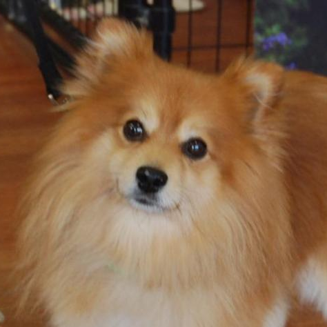 beckwmn's profile picture. 