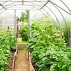 Boynevalleycomm's profile picture. 