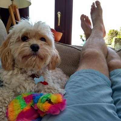 Doctor/Skin Cancer Specialist/Writer/Surfer/Rock climber
(and walker of my wife's small dog).