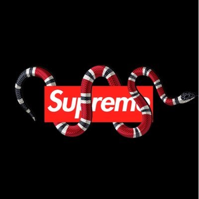 AlfieHedges9's profile picture. 