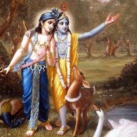 Rikumar C Mody (@globalnuts) 's Twitter Profile