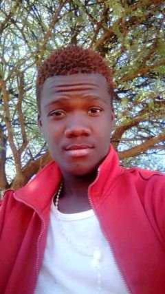 Music Music