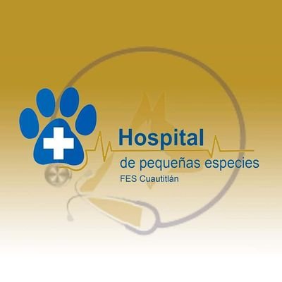 Hospital de Enseñanza en Medicina y Cirugía para Pequeñas Especies, FES Cuautitlán C4