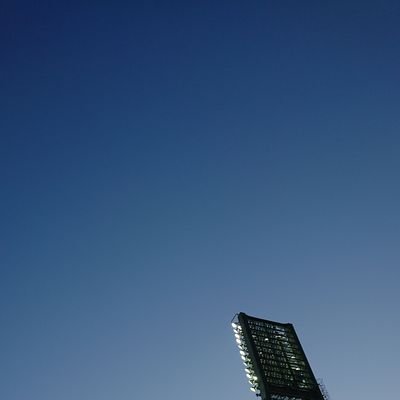 maboooooooon805's profile picture. 