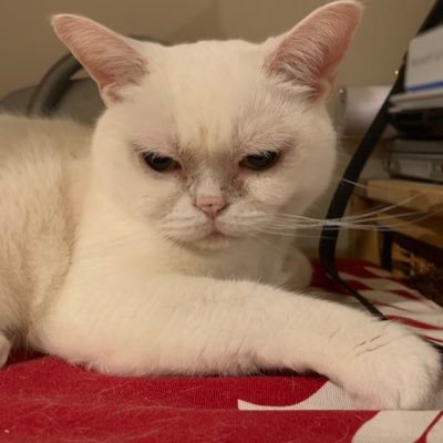 hcHKtOflz5ikX89's profile picture. 