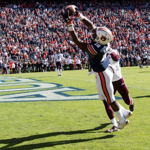 The most diehard Auburn Tiger football fan on this planet.I love college football & Auburn's B_Ball team!!