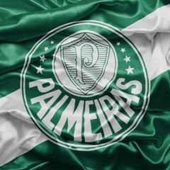 Pirata_SEP's profile picture. Twitter criado para falar somente sobre PALMEIRAS!