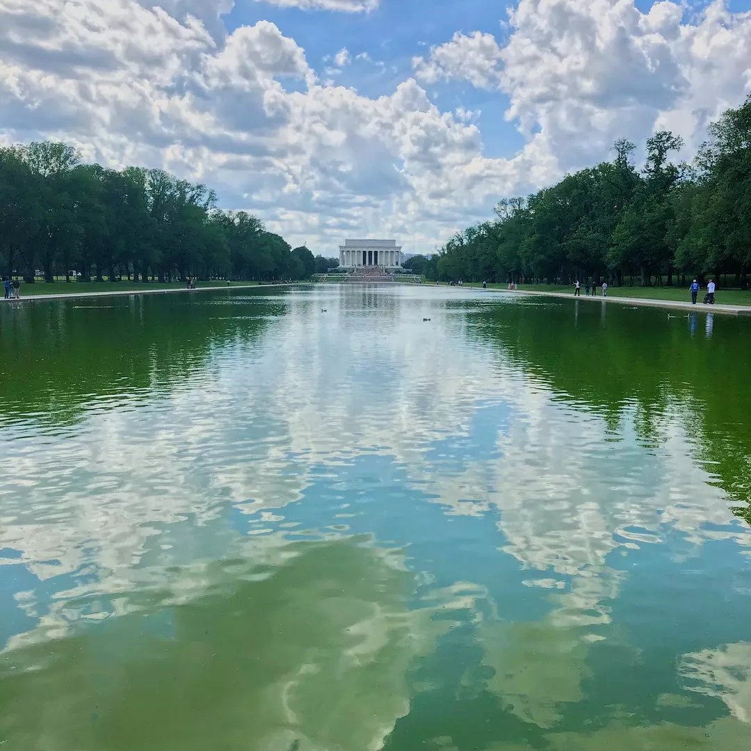 hackerzzz5's profile picture. The greater the ability, the greater the responsibility