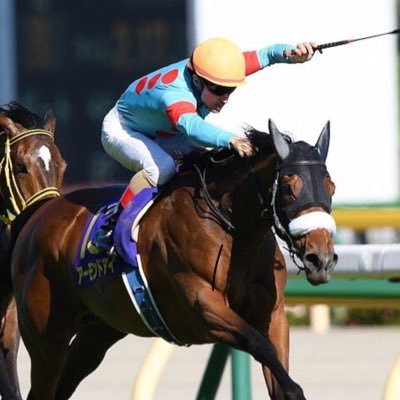 おさむん競馬好きのアイコン