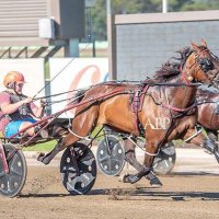 Lachie Hart (@lachiehart2) 's Twitter Profile