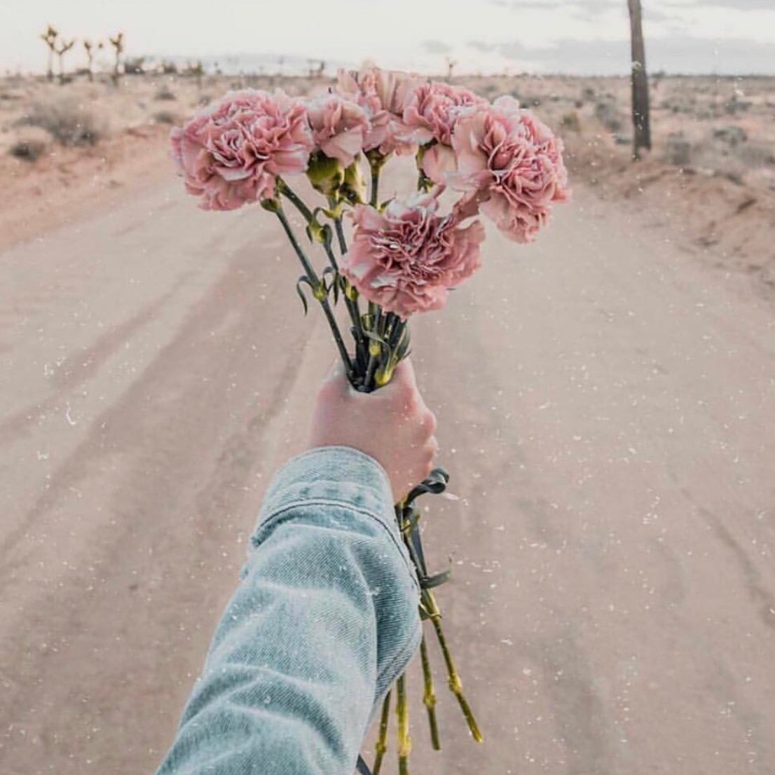 graciouslykate's profile picture. 