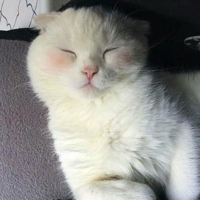 666sheesh's profile picture. how long our lives will be