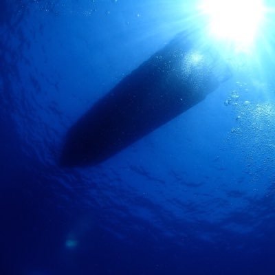 g09kDSAX1qpamX6's profile picture. 大阪 鶴橋 さかな屋