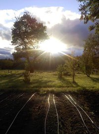 White Gates Farm in NH grows natural beef, pork, chicken, fresh produce for both individual and commercial consumption - come see our great views too!