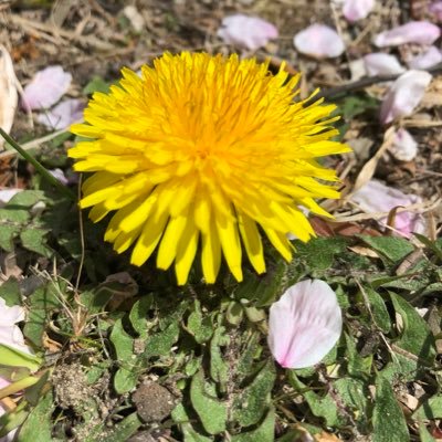 mysp8146's profile picture. 