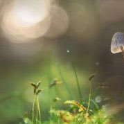 refreshmind2's profile picture. 東京在住35歳です。色々お悩みでどうしていいかわからない方、自分の現状を話すことが少しでもいい方向に向かうかもしれません。現状を少しでも変えたい方はご連絡をお待ちしております。