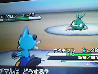 iMijumaru's profile picture. 