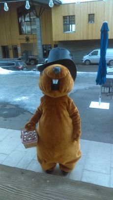 Guenola10's profile picture. 