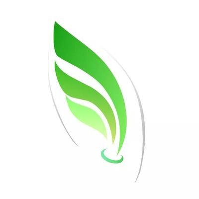 VirtualWebjet's profile picture. Amigos, estudantes e entusiastas da aviação ;)