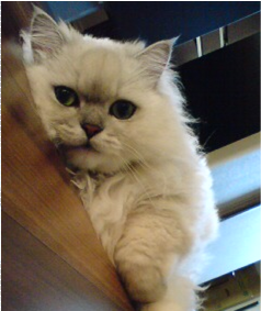 jumatsum's profile picture. 「はたらく」とは、「傍（周囲の人）を楽にする」という意味があるという。10年後、日本で一番「傍を楽にする」会社だと言われたい。