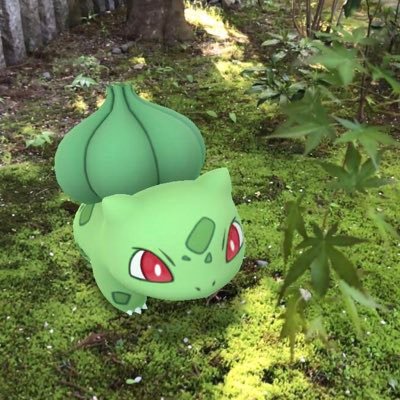 月風CoCoro＊かざはなさんのプロフィール画像