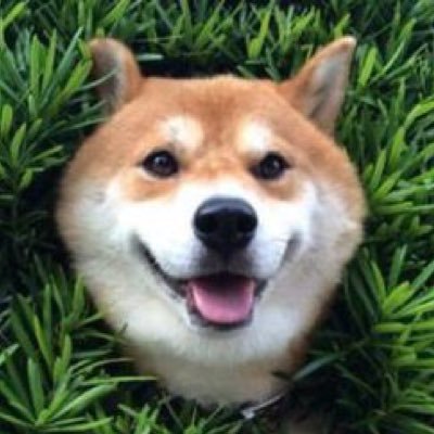 _benlim's profile picture. balloon animal artist (snakes only)