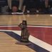 Cousino Girl's Hoops (@cousino_hoops) Twitter profile photo Cousino Girl's Hoops (@cousino_hoops) Twitter profile photo