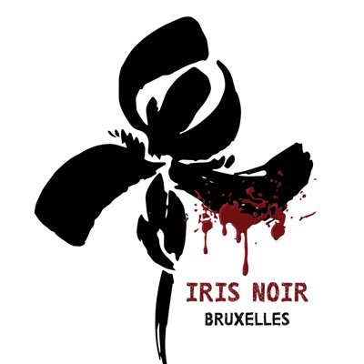 Découvrez notre association qui crée des événements littéraires (dîners, salons, lancements de livres...) consacrés à la littérature noire, à Bruxelles 🇧🇪