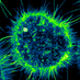 Emory Integrated Cellular Imaging (@emoryici) Twitter profile photo