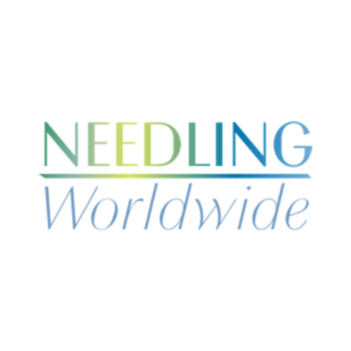 needling_world's profile picture. World class infosec certification and compliance support.  #infosec #cybersecurity #ISO27001