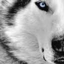 James Kunkle - @Deahtninja2 - Twitter