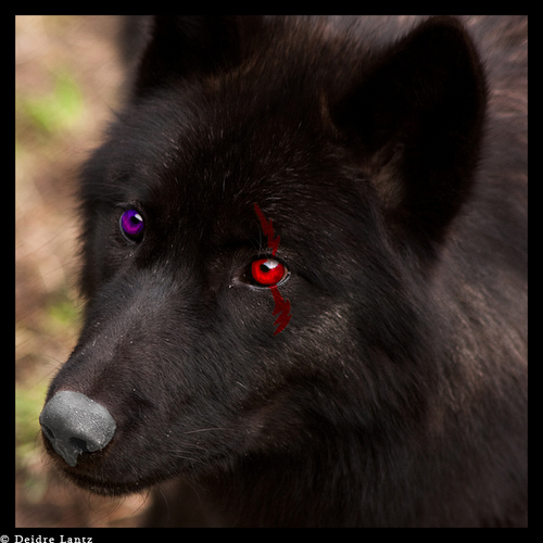 EbonySunlight's profile picture. I'm a walking disaster. Those who get close wind up getting burned. Maybe it's best if I stay alone...