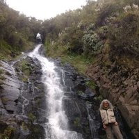 Rocío Moreno-Sanchez (@rocomor74424869) 's Twitter Profile