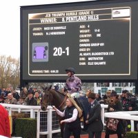 Owners Group Horses (@ownersgroup_uk) 's Twitter Profile