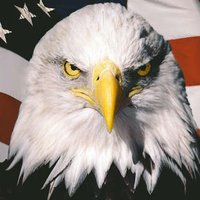 Bald Eagle Bodybuilding (@baldeaglebodyb1) 's Twitter Profile