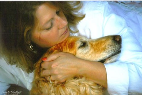there is no such thing as a problem dog - just dogs with problems...I fix them