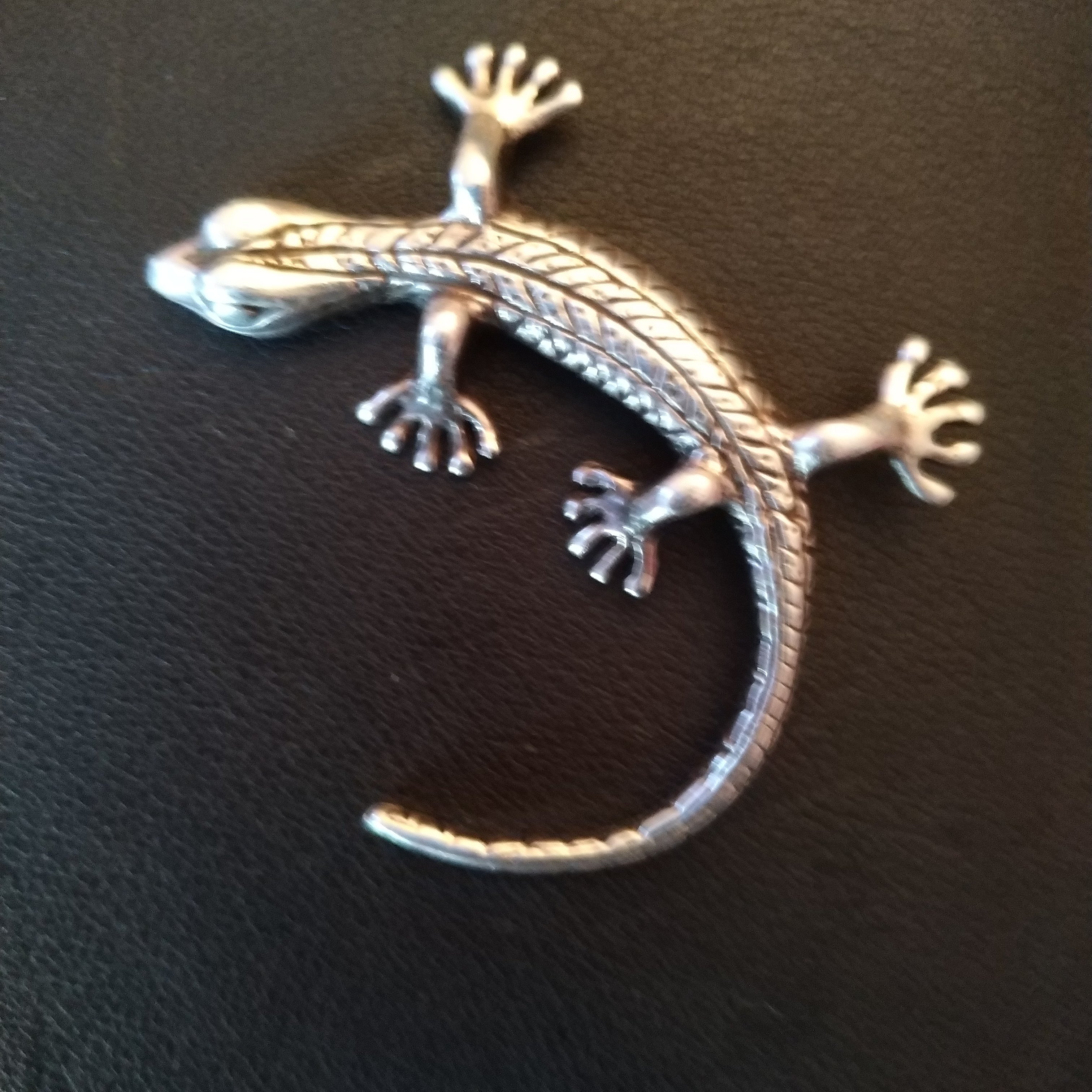 silver_lizard Profile Picture