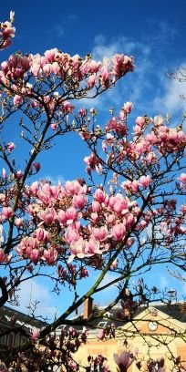 PerdirUne's profile picture. Personnel de direction en REP.