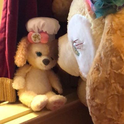 ろあさん꒰(๑´•.̫ • `๑)꒱雑食くんなよ🥰