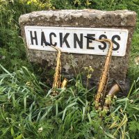 Hackness Music Live (@hacknesslive) 's Twitter Profile Photo