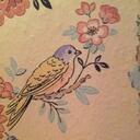 Brittany Lynch - @brit_birdlynch - Twitter