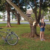 Elizabeth (Betsy) Madden (@terranotfirma) 's Twitter Profile