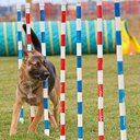 Shauna Oliver - @soliver24 - Twitter