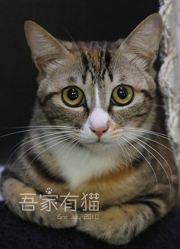 暂无