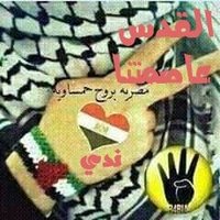 ندي عبدالعليم (@__n_____d) 's Twitter Profile Photo