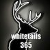 WHITETAILS365 (@365whitetails) Twitter profile photo